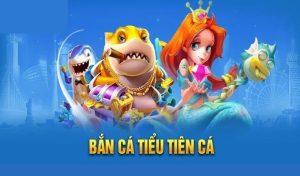 Bắn cá tiểu tiên ảnh đại diện